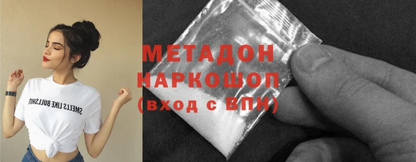 прущие грибы Арсеньев