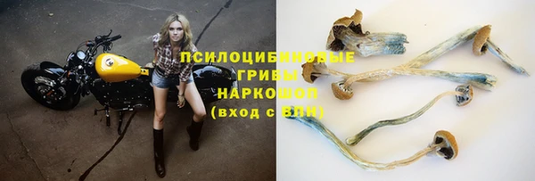 прущие грибы Арсеньев