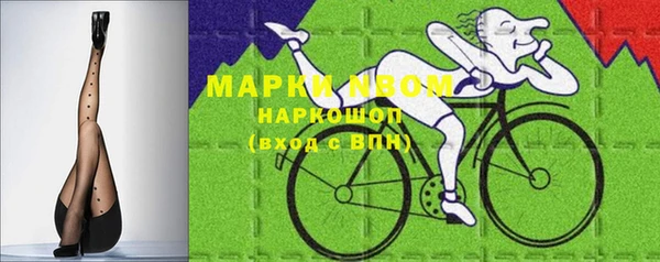 прущие грибы Арсеньев