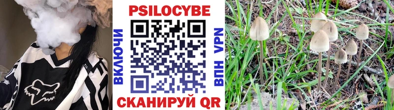 купить наркотики цена  Старый Оскол  Псилоцибиновые грибы мицелий 